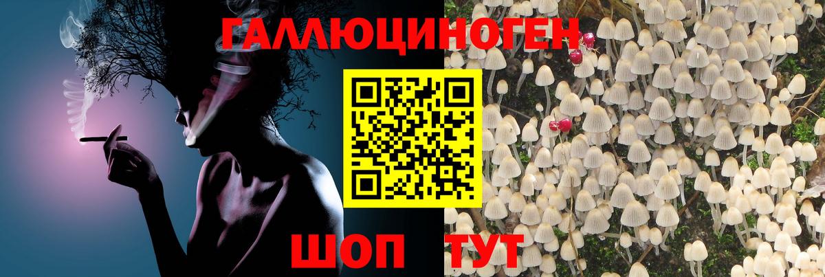 Избербаш  Псилоцибиновые грибы ЛСД  Вход с VPN 